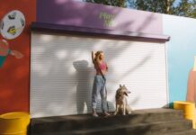 Why Do Australians Need Roller Shutters? Roller Shutter in Australia