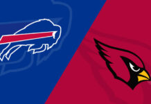 Arizona Cardinals vs Buffalo Bills Match Player Stats arizona cardinals vs buffalo bills match player stats